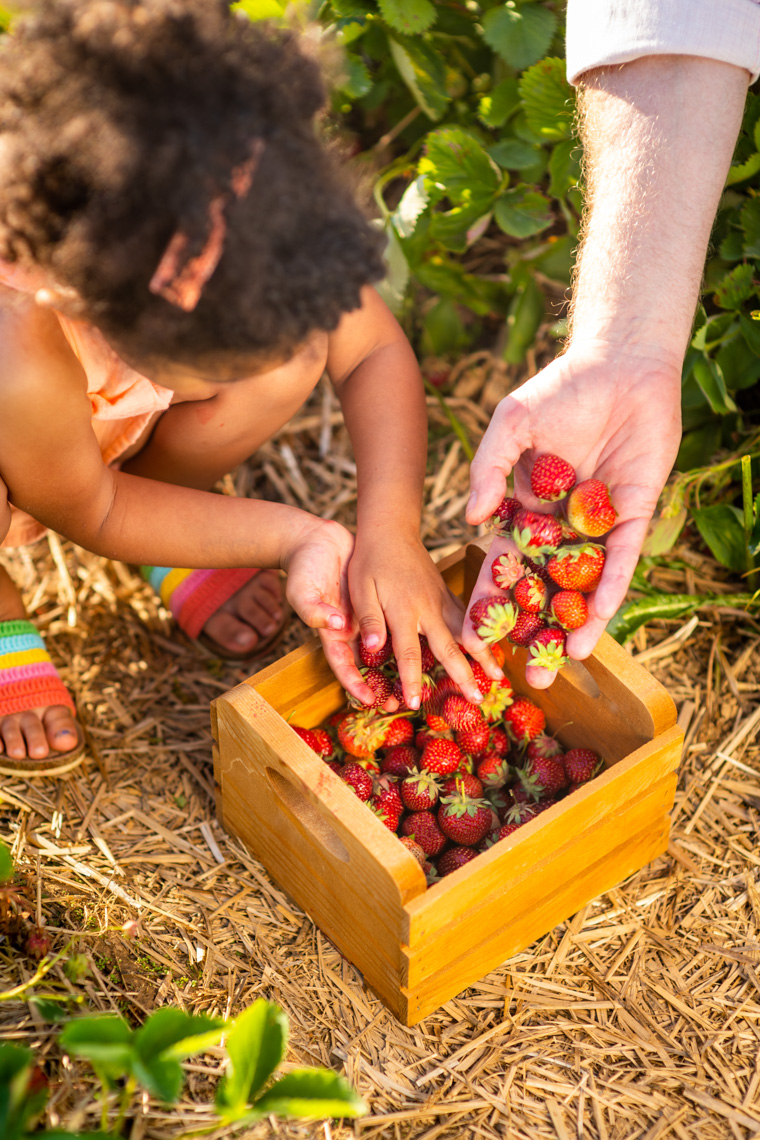 Laura-Chase-de-Formigny-Farm-Photographer-6